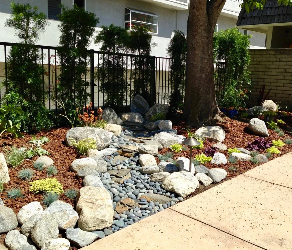 Local yard cleanup service in Santa Monica, CA by SVA Home and Garden