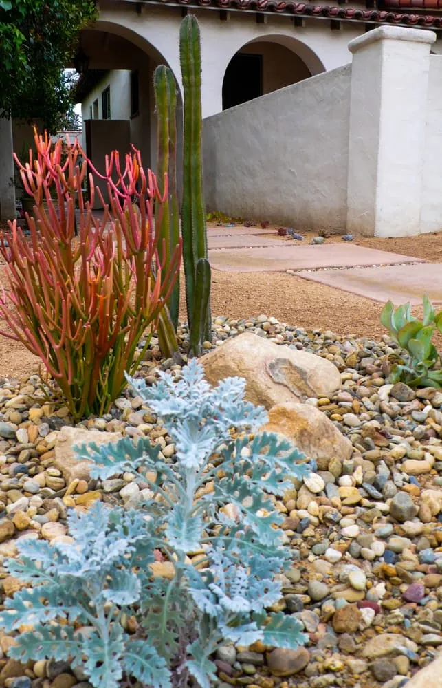 Reliable landscaping services in Santa Monica, CA by SVA Home and Garden