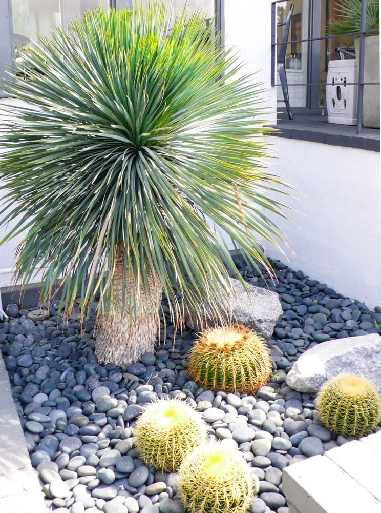Local landscaping services experts serving Santa Monica, CA - SVA Home and Garden