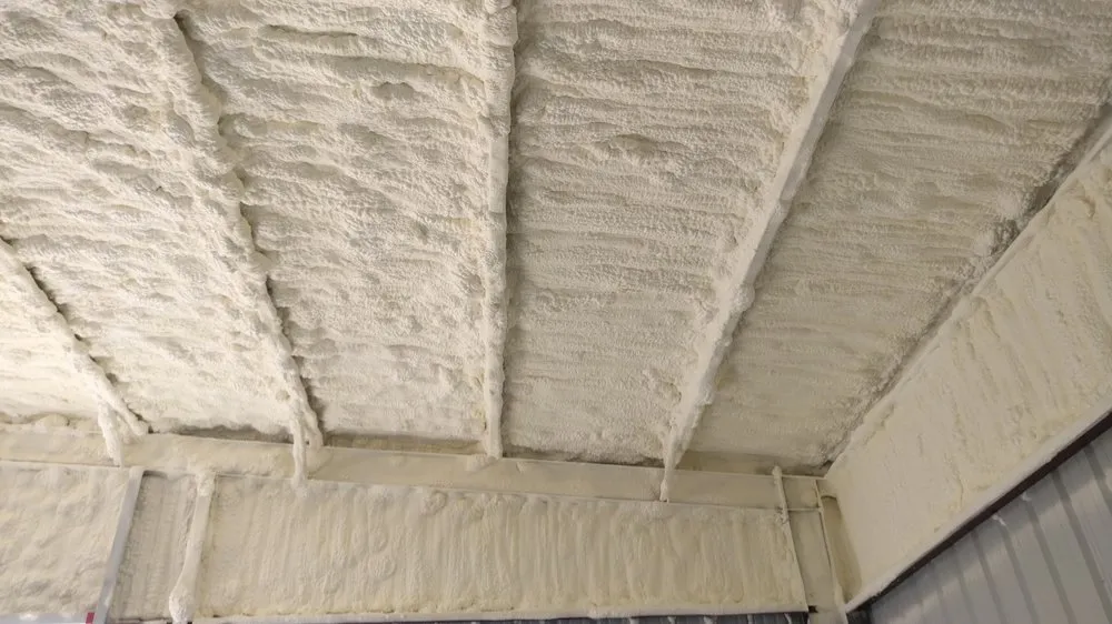 Professional residential landscaping experts serving Fentress, TX - SVB Conglomerate, Inc.