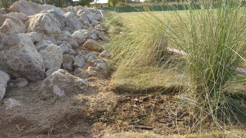 Trusted yard cleanup service for residential properties in Fentress, TX by SVB Conglomerate, Inc.