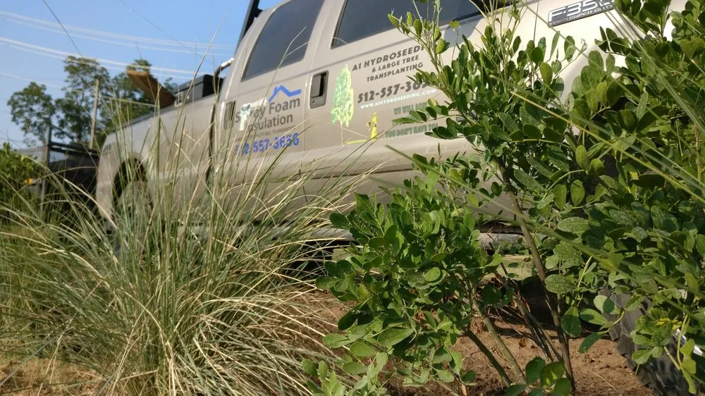 Reliable landscape installation in Fentress, TX - SVB Conglomerate, Inc.