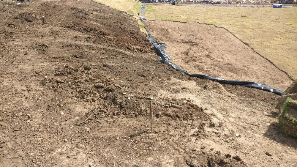 Reliable yard cleanup service experts serving Fentress, TX - SVB Conglomerate, Inc.