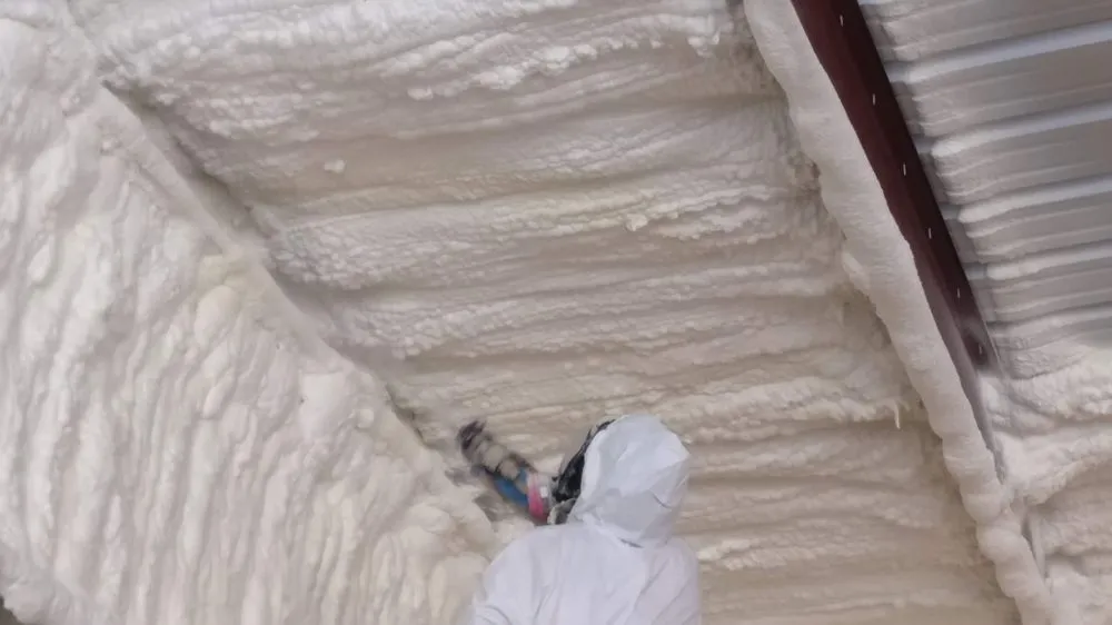 Reliable lawn mowing service in Fentress, TX - SVB Conglomerate, Inc.