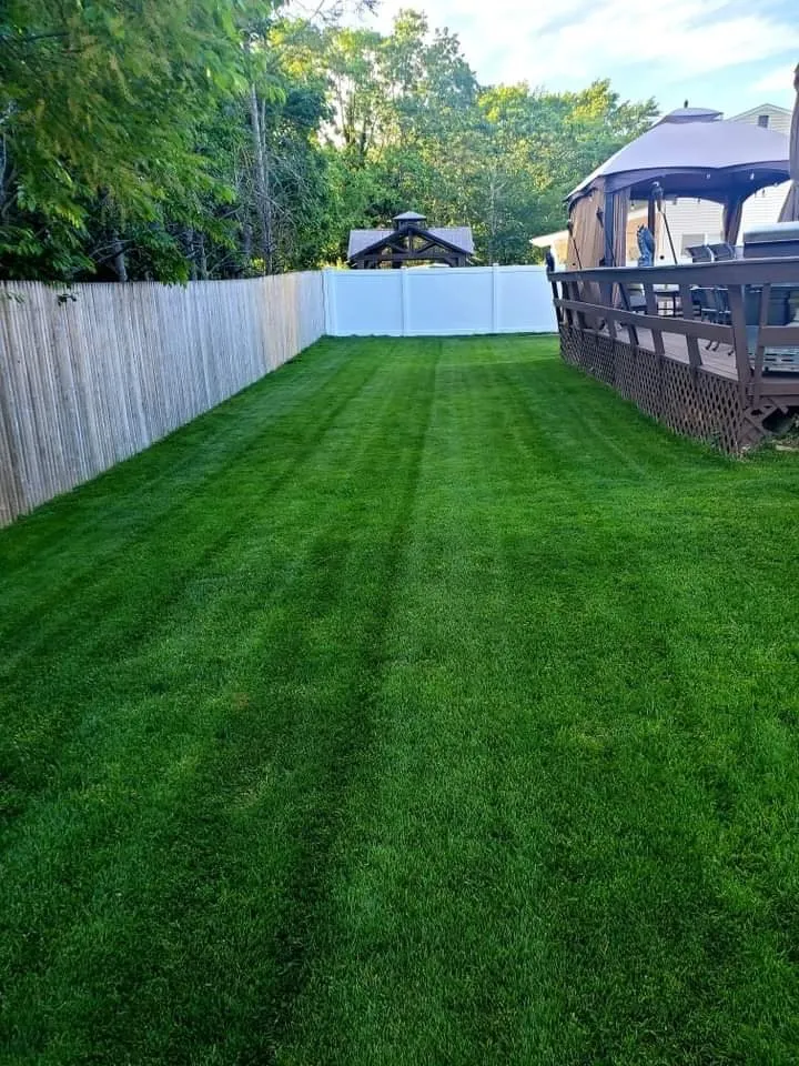 Expert landscaping services for beautiful yards across Mastic, NY - SVD Landscape And Lawn Care