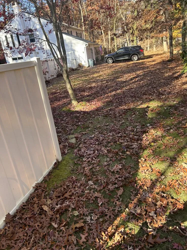 Professional landscaping services in Mastic, NY by SVD Landscape And Lawn Care