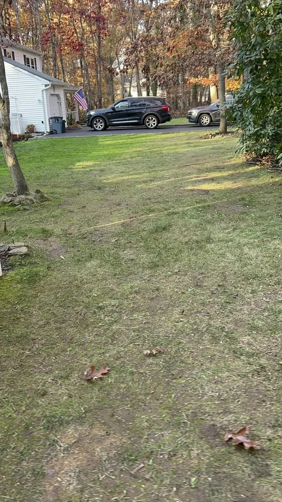 Top-rated residential landscaping in Mastic, NY by SVD Landscape And Lawn Care