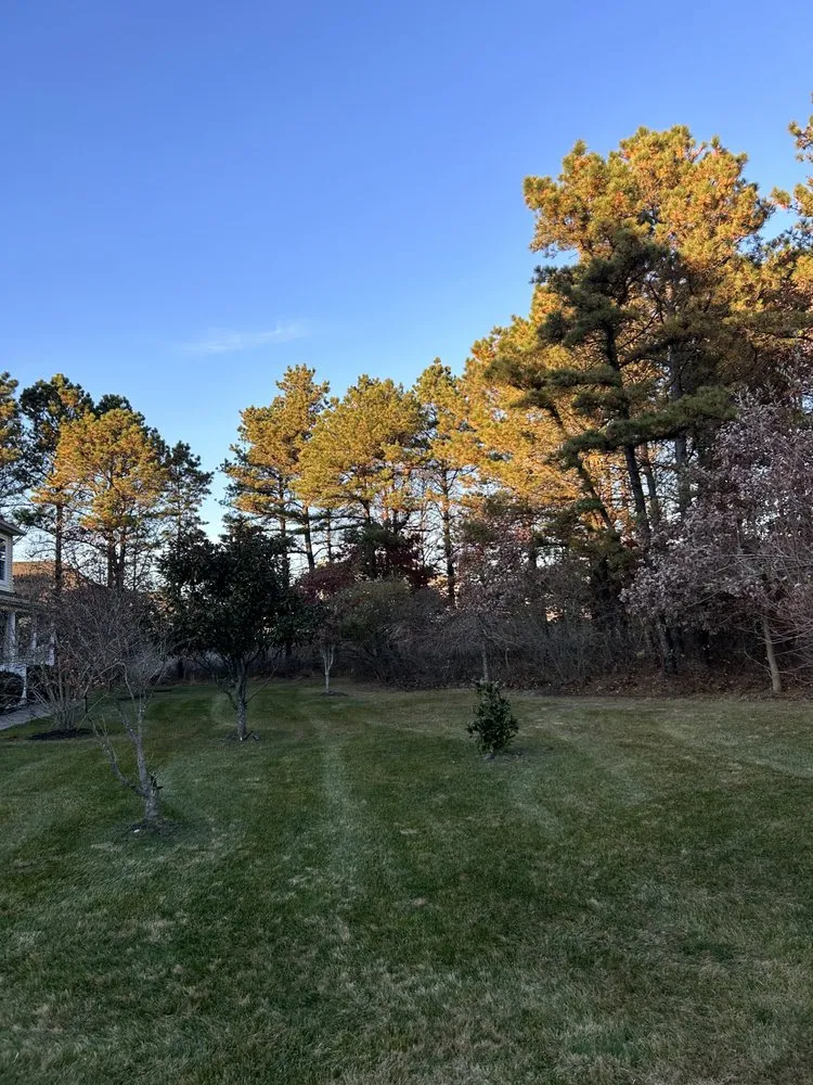 Affordable yard maintenance for year-round maintenance across Mastic, NY - SVD Landscape And Lawn Care