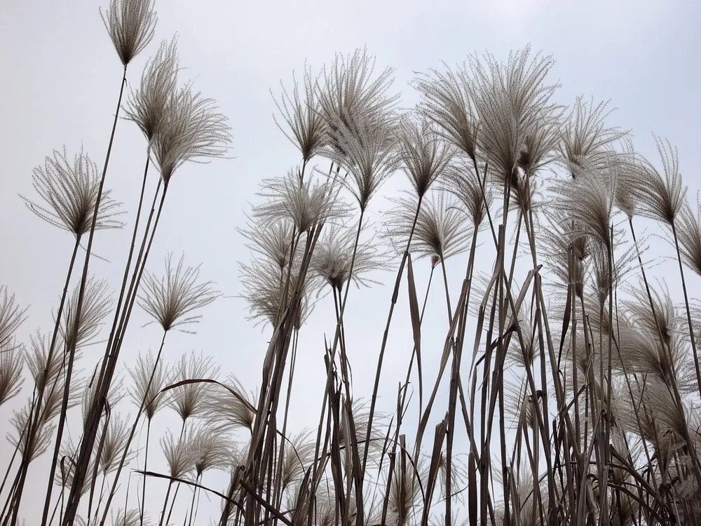 Affordable outdoor landscaping for outdoor upgrades in Ridgefield, CT by Svendsen & Keller