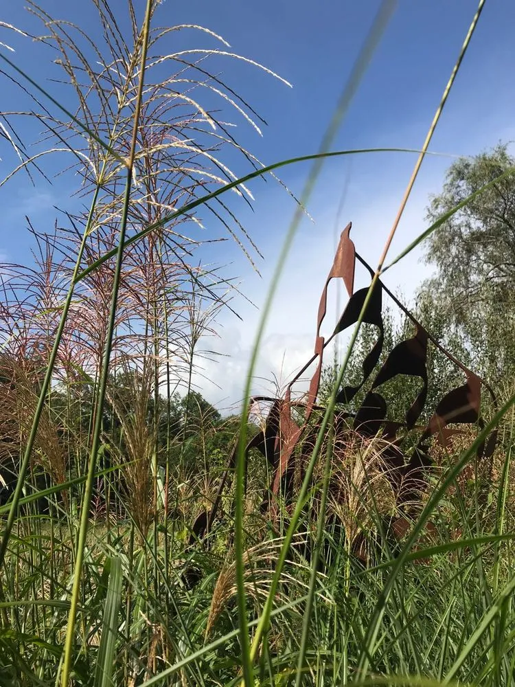 Professional yard maintenance in Ridgefield, CT by Svendsen & Keller