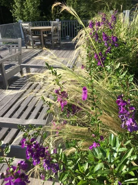 Top-rated yard maintenance near you across Ridgefield, CT - Svendsen & Keller