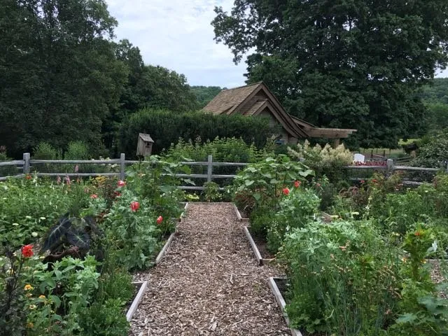 Top-rated yard cleanup service for homes across Ridgefield, CT - Svendsen & Keller