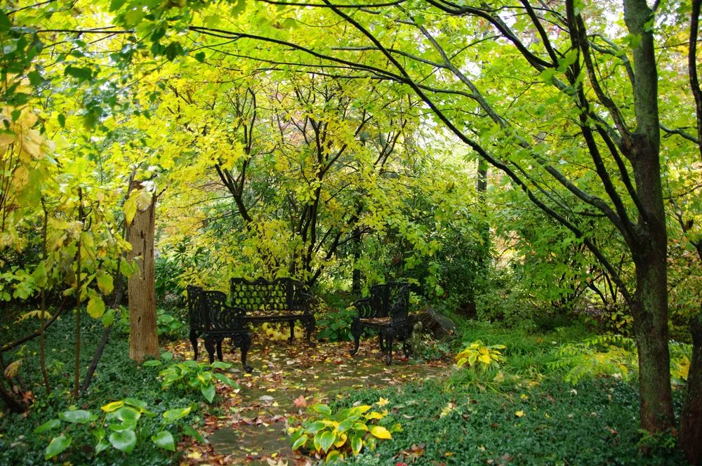 Reliable yard cleanup service for beautiful yards in Ridgefield, CT by Svendsen & Keller