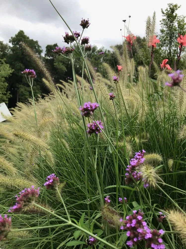 Custom garden landscaping in Ridgefield, CT - Svendsen & Keller