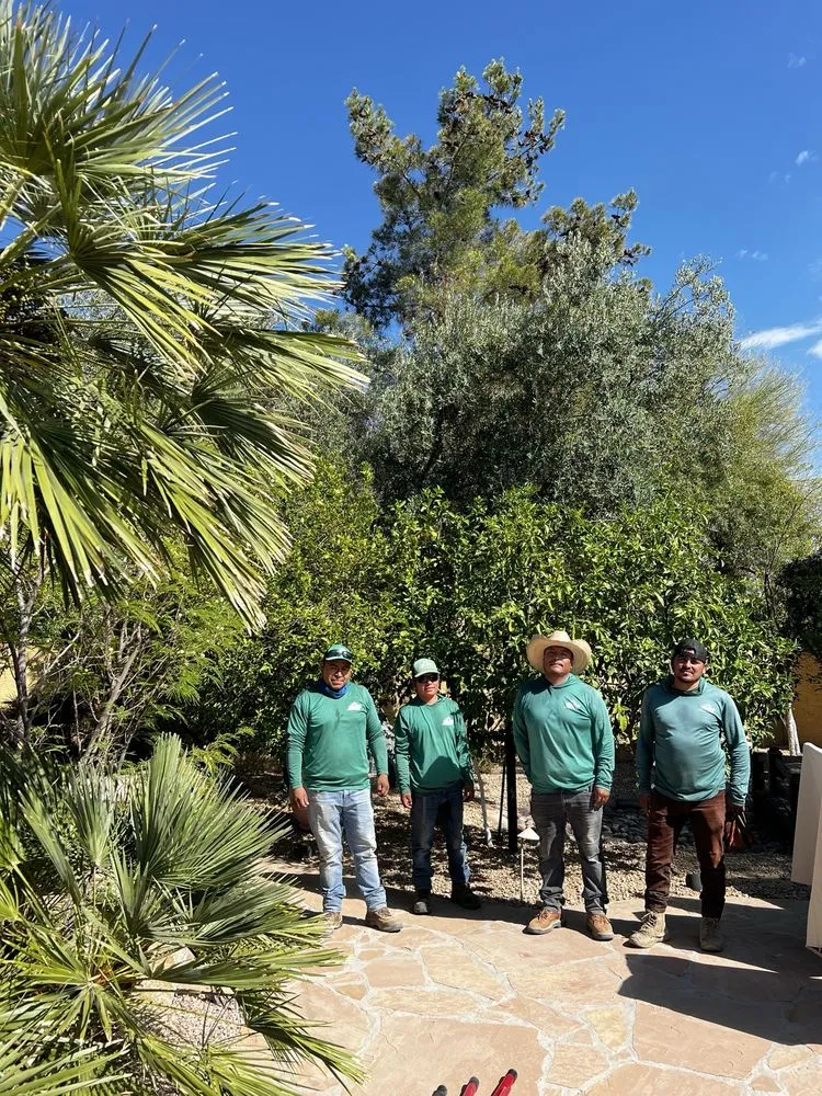 Trusted landscape installation in Phoenix, AZ by SVH Landscaping Services