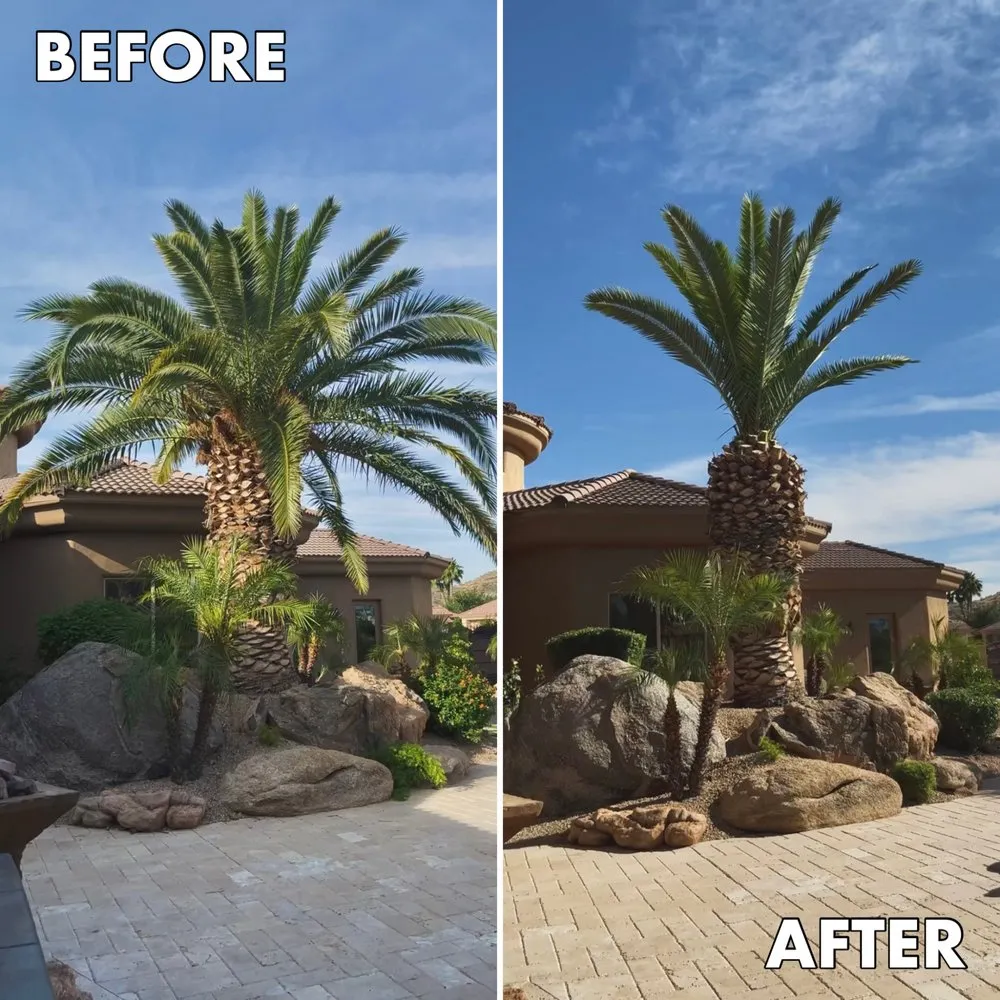 Affordable outdoor landscaping in Phoenix, AZ - SVH Landscaping Services