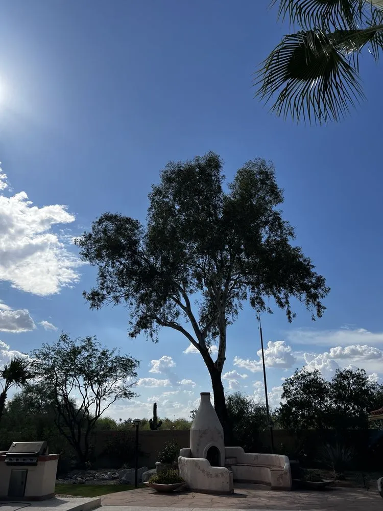 Custom lawn mowing service in Phoenix, AZ - SVH Landscaping Services