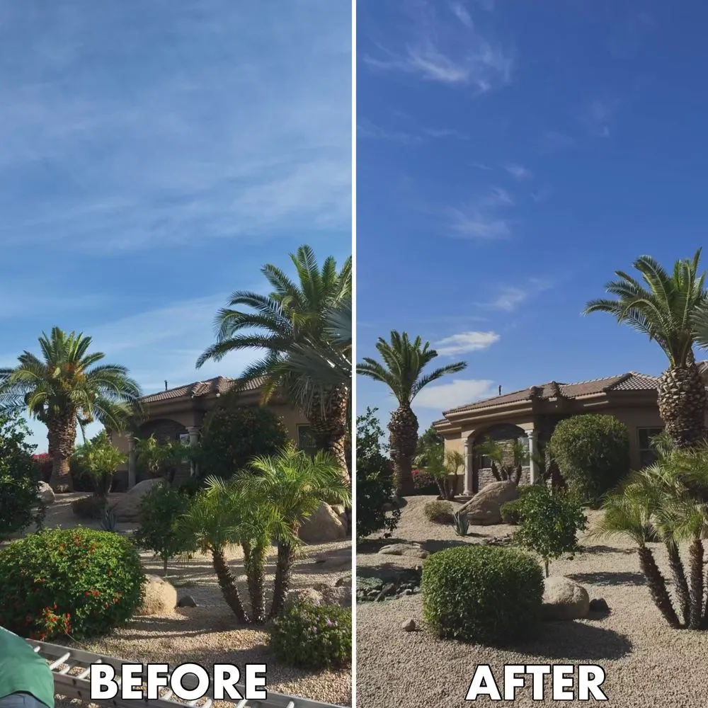 Expert landscape installation for year-round maintenance in Phoenix, AZ by SVH Landscaping Services