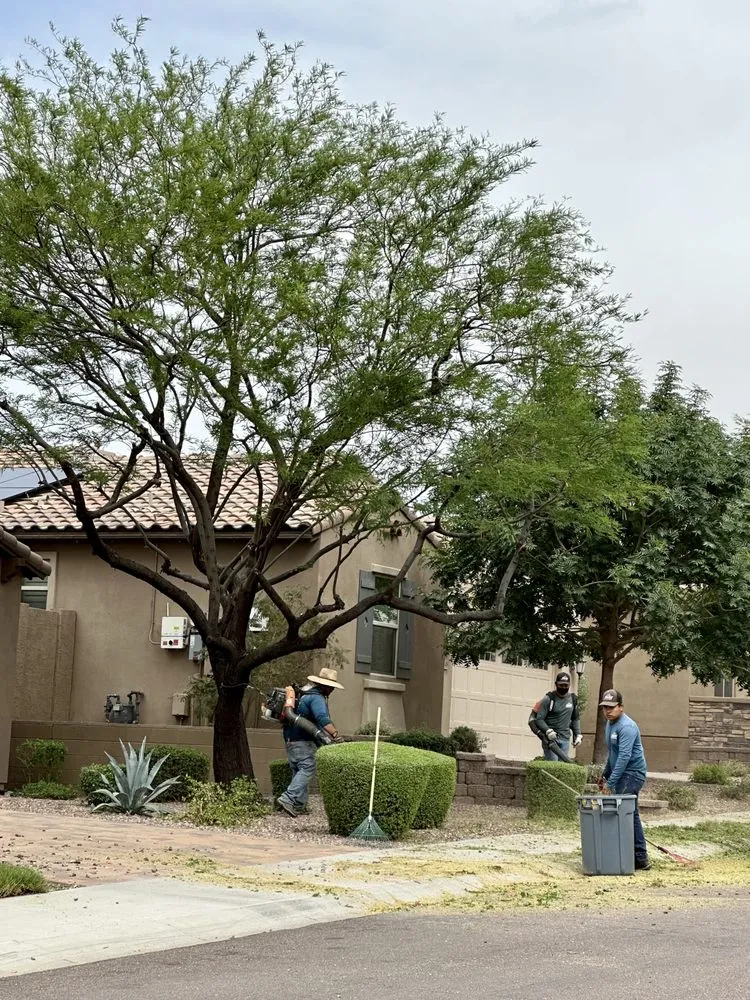 Custom landscape installation for outdoor upgrades in Phoenix, AZ by SVH Landscaping Services