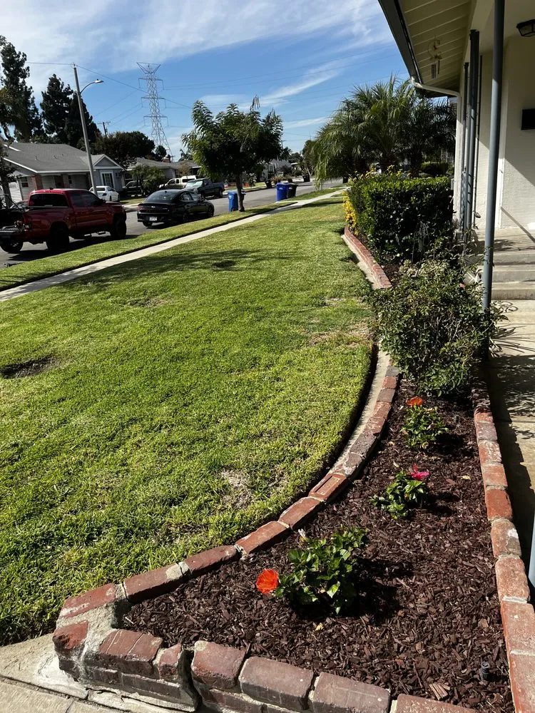 Trusted lawn care service in Anaheim, CA - SVR Landscape