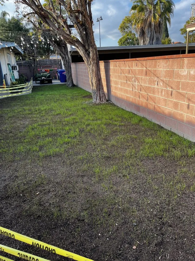 Reliable yard cleanup service in Anaheim, CA - SVR Landscape