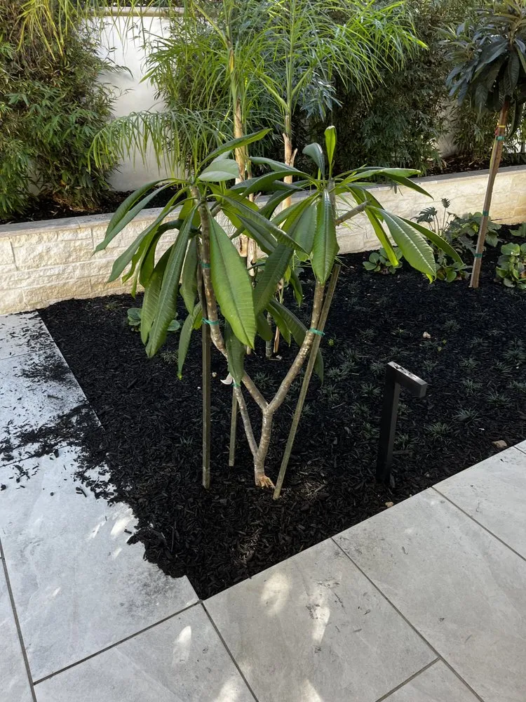 Trusted landscaping services experts serving Anaheim, CA - SVR Landscape