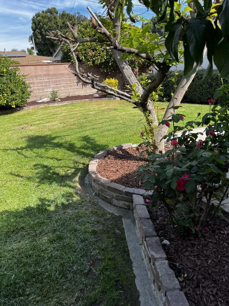 Local landscape design for outdoor upgrades across Anaheim, CA - SVR Landscape