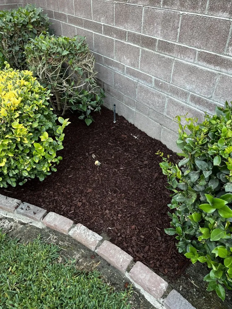 Top-rated lawn mowing service for residential properties in Anaheim, CA by SVR Landscape