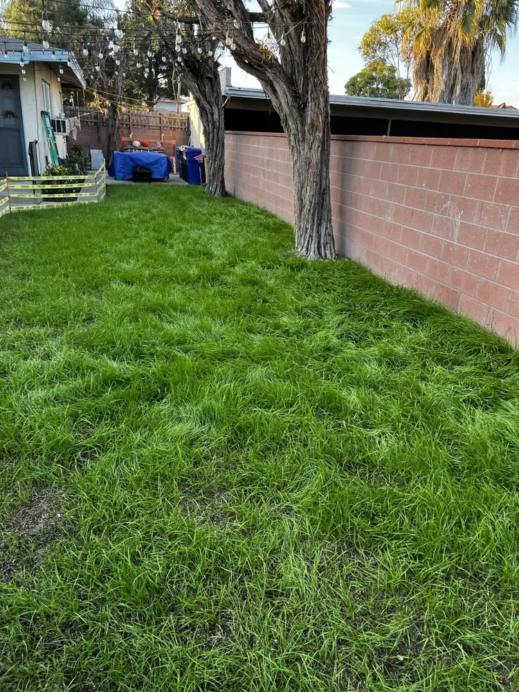 Reliable garden landscaping in Anaheim, CA - SVR Landscape