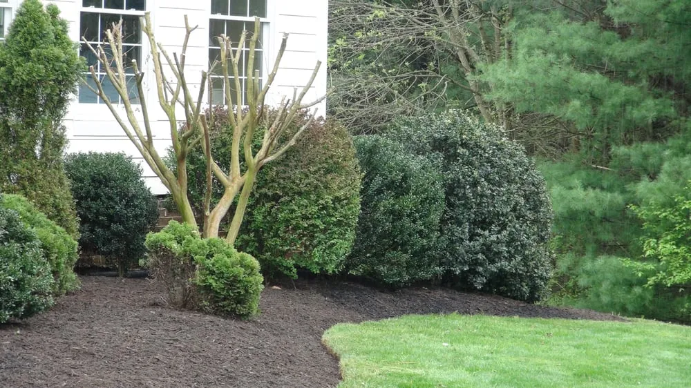 Professional landscape installation in Leesburg, VA - SVV Maintenance
