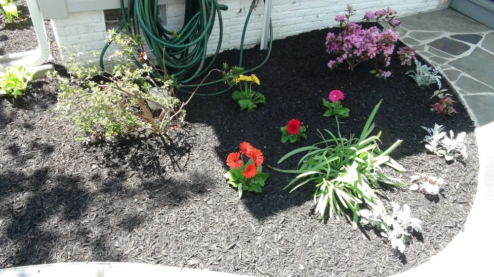 Affordable landscape design in Leesburg, VA - SVV Maintenance