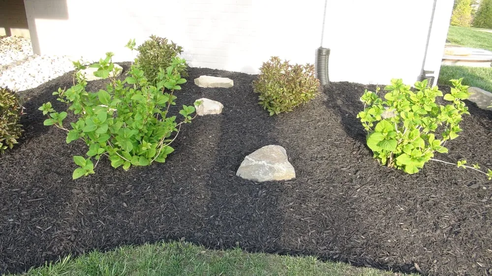 Professional residential landscaping for beautiful yards across Leesburg, VA - SVV Maintenance