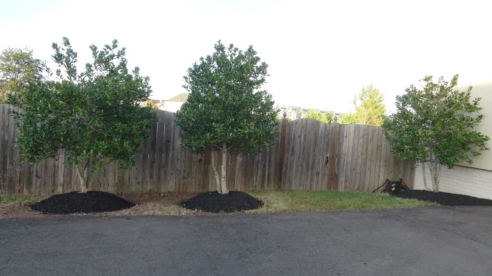 Trusted landscape installation in Leesburg, VA - SVV Maintenance