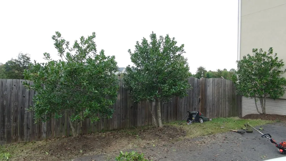 Affordable landscape design in Leesburg, VA by SVV Maintenance