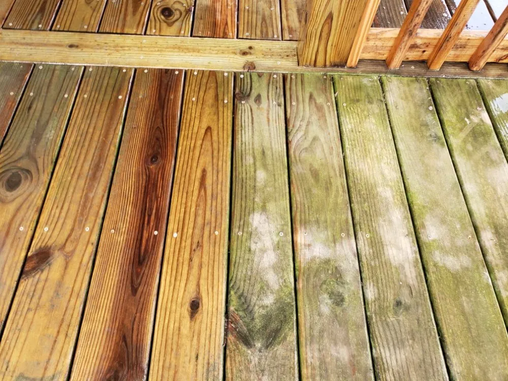 Custom lawn care service experts serving Columbus, IN - S&W Contracting Service