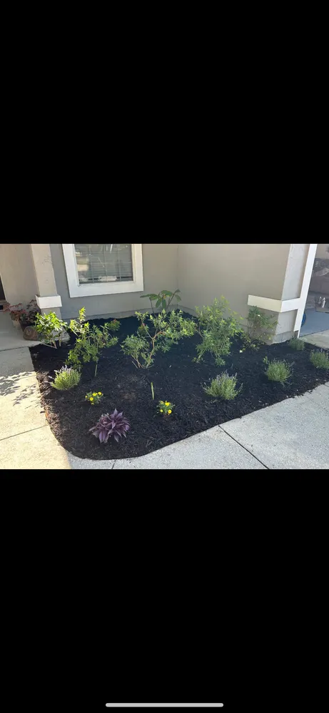Affordable landscape installation for residential properties in Jacksonville, FL by S&W Land Development