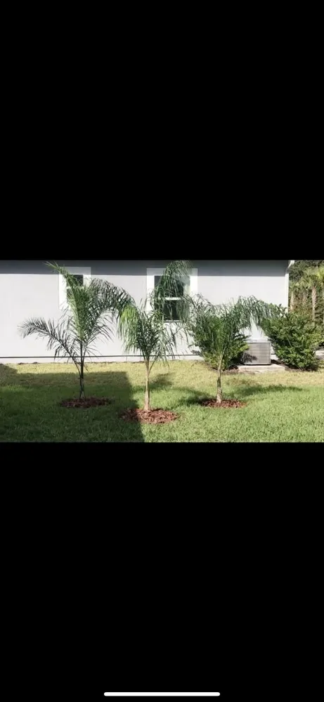 Top-rated lawn care service experts serving Jacksonville, FL - S&W Land Development