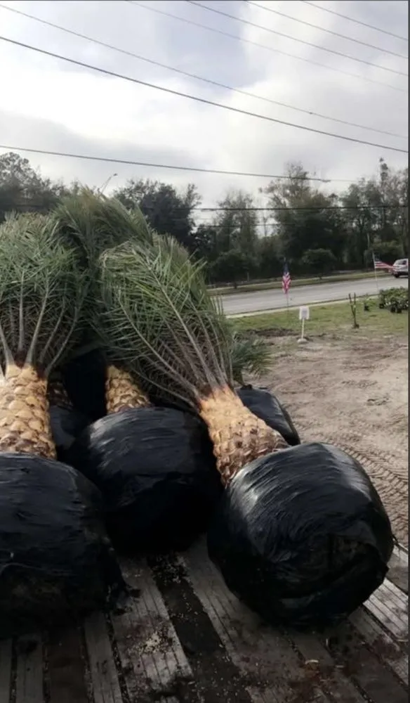 Top-rated garden landscaping for residential properties in Jacksonville, FL by S&W Land Development