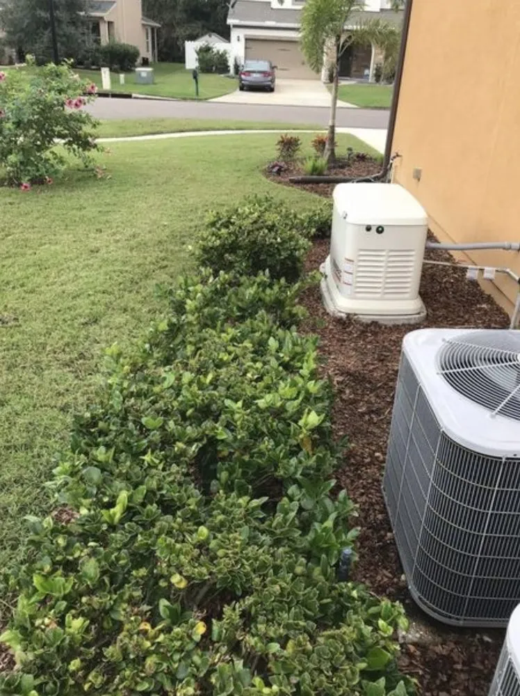 Local yard cleanup service for beautiful yards in Jacksonville, FL by S&W Land Development