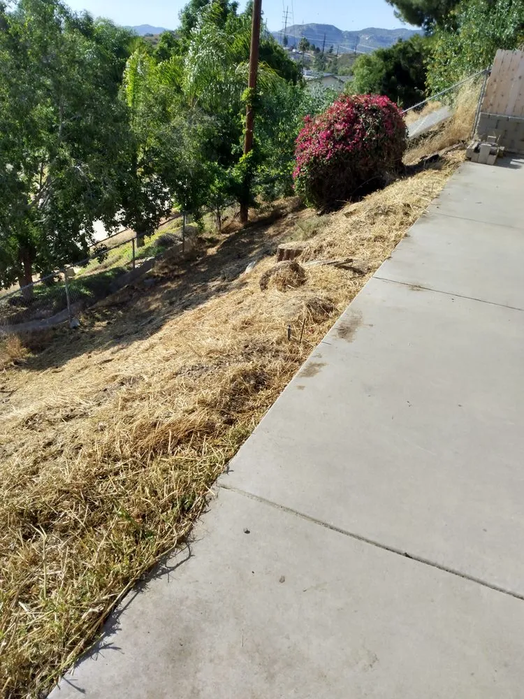 Reliable garden landscaping experts serving Santee, CA - S&W landscaping