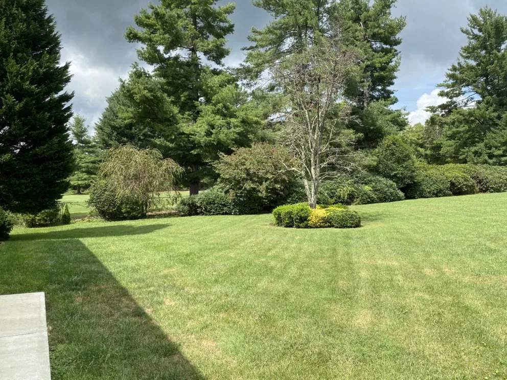 Custom landscape installation for outdoor upgrades across Zirconia, NC - S&W Landscaping Snow removal Grading