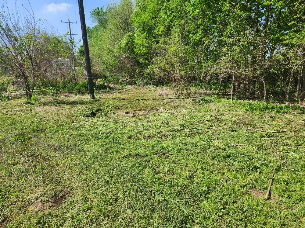 Local yard maintenance for year-round maintenance across Clinton, IL - Sw Lawn Care