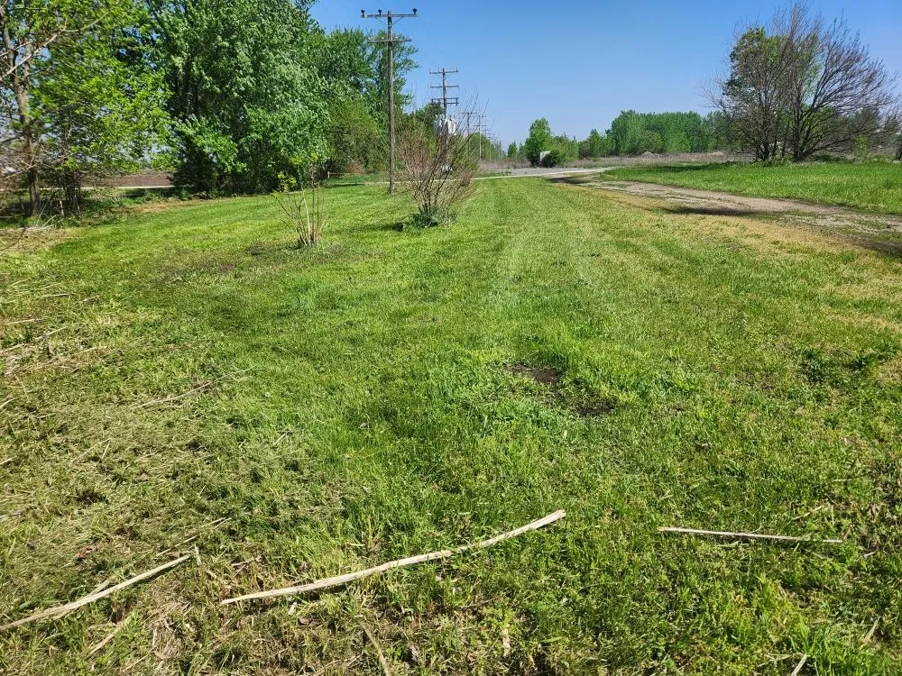 Top-rated outdoor landscaping for homes in Clinton, IL by Sw Lawn Care