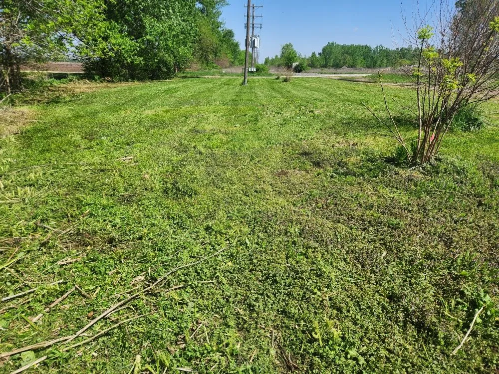 Custom lawn care service for outdoor upgrades across Clinton, IL - Sw Lawn Care