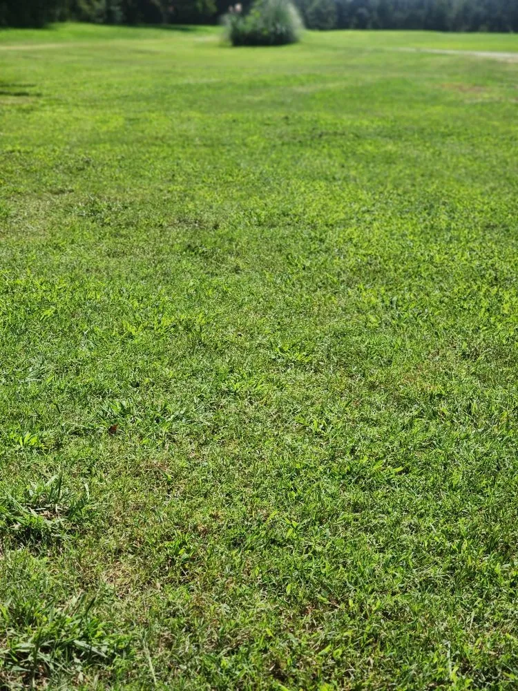 Top-rated garden landscaping for residential properties in Lincolnton, NC by S&W Lawn Care