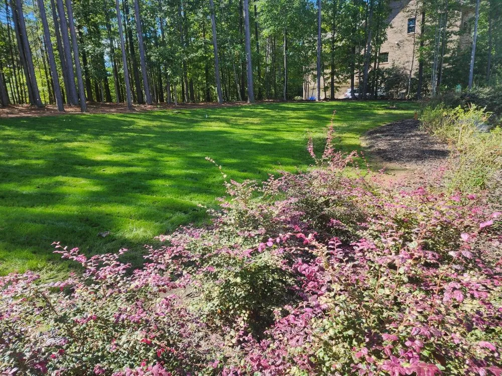 Custom garden landscaping in Lincolnton, NC - S&W Lawn Care