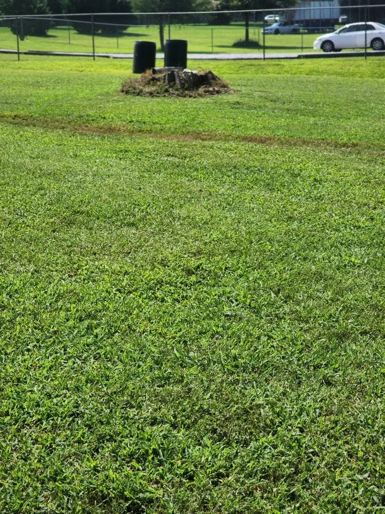 Trusted lawn mowing service for outdoor upgrades in Lincolnton, NC by S&W Lawn Care