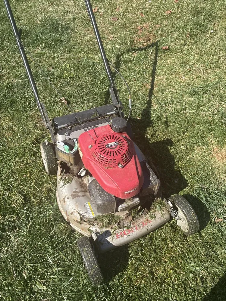 Affordable landscaping services for residential properties in Ronda, NC by SW Mowing