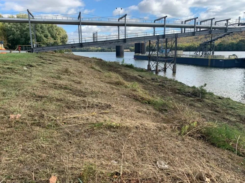 Reliable yard cleanup service for residential properties in Hamilton, OH by S&W Outdoor Services