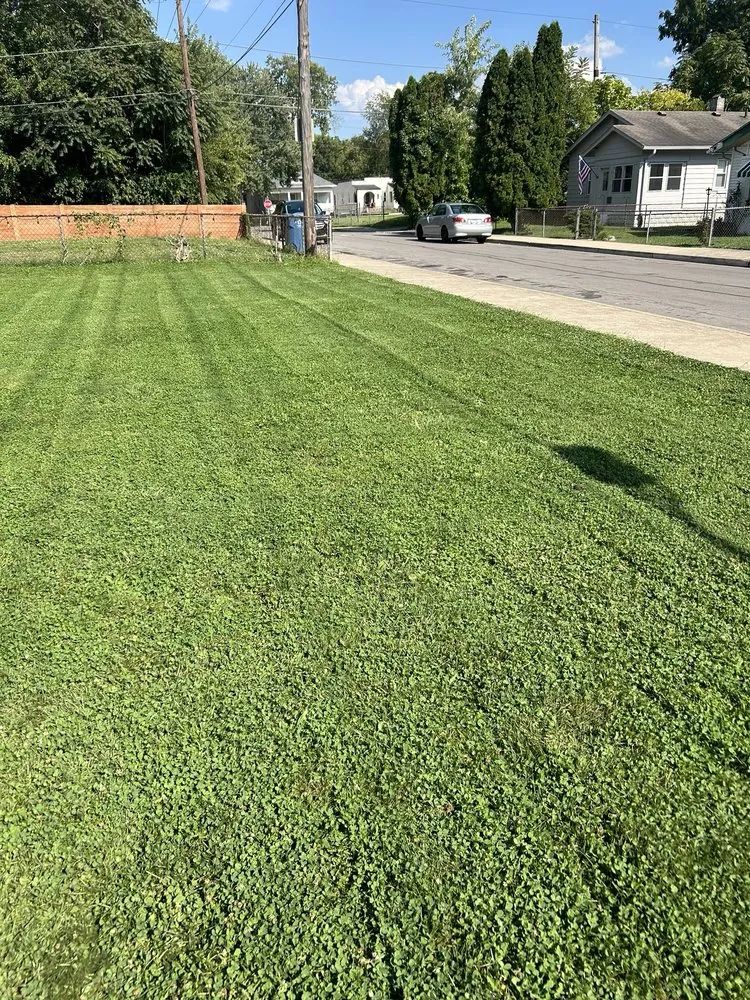 Professional lawn care service for residential properties across Miami, IN - Swade & Reedy’s Landscraping